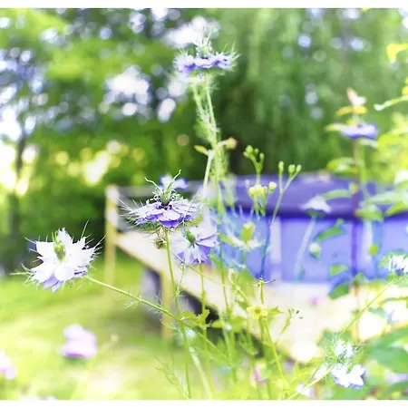 Le Gite Des Cimes Tulle Exterior photo